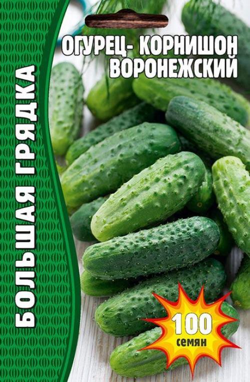 Лучшие сорта огурцов и томатов для посадки в 2022 году. Урожайные сорта огурцов — рейтинг 2022 года