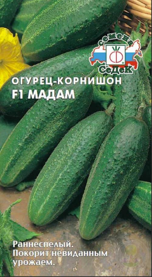 Лучшие сорта огурцов и томатов для посадки в 2022 году. Урожайные сорта огурцов — рейтинг 2022 года