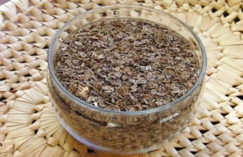 Укроп Амур: как выбрать и купить семена для успешного выращивания 02 Укроп Амур: как выбрать и купить семена для успешного выращивания 02