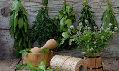 Воспользуйтесь пряными травами на своем дачном участке 02