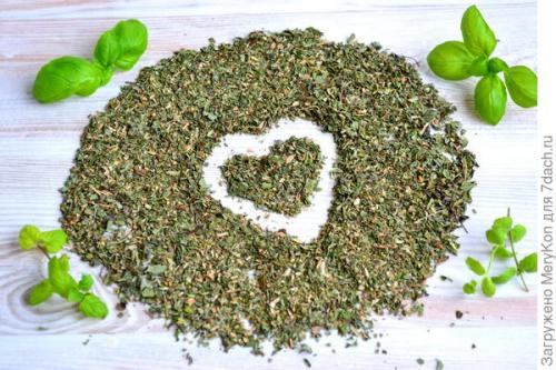 Как хранить пряные травы на дачном участке. Пряные травы впрок