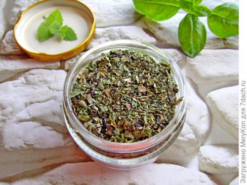 Как хранить пряные травы на дачном участке. Пряные травы впрок