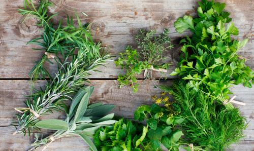 Воспользуйтесь пряными травами на своем дачном участке 01
