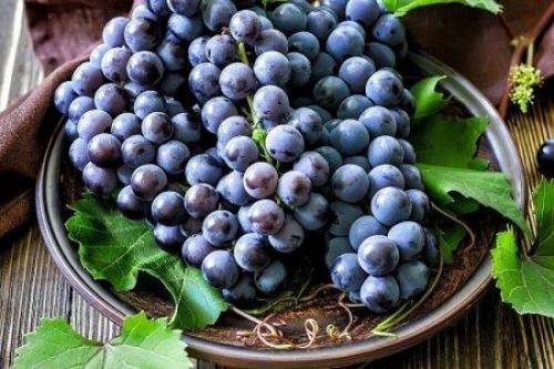 Какие столовые сорта винограда наиболее подходящие для приготовления вин. Лучшие сорта винограда для вина: фото, названия и описания (каталог)