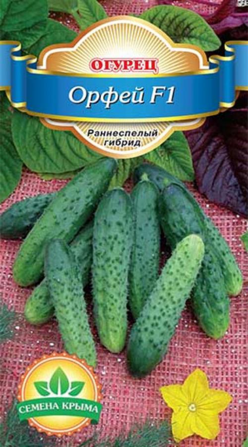 Лучшие сорта огурцов 2022. Лучшие сорта огурцов для теплицы — ТОП-45 2022 года