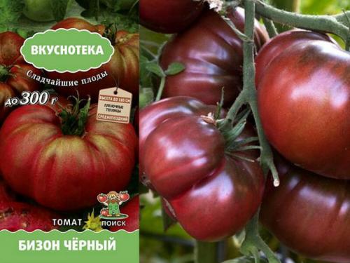 Лучшие урожайные сорта помидоров в 2022 году. Урожайные сорта томатов – ТОП-20 для теплиц и открытого грунта в 2022 году