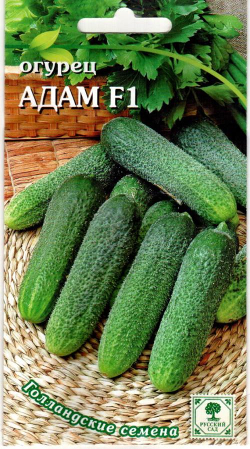 Лучшие сорта огурцов 2022. Лучшие сорта огурцов для теплицы — ТОП-45 2022 года