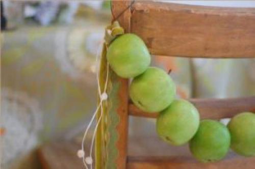 Что такое яблоня Кипарисовое. Декоративная яблоня Кипарисовое