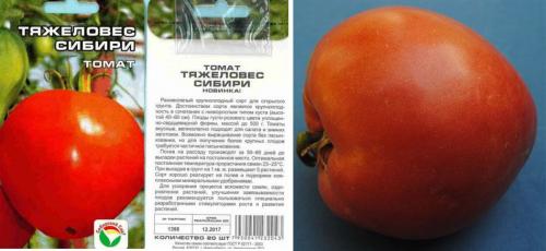 Помидоры для открытого грунта низкорослые. Крупноплодные и низкорослые для открытого грунта