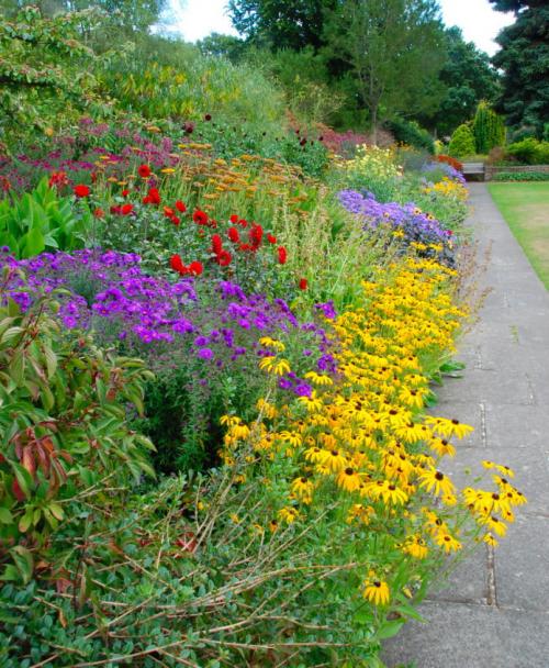Станьте владельцем уникального сада с помощью этих 20 необычных кустарников 08