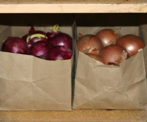 Как правильно упаковать луковицы лука для хранения. Хранение лука в корзинах