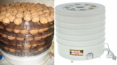 Как сушить и хранить грецкие орехи. Сроки и условия хранения 08