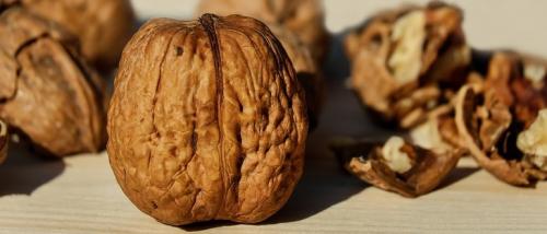 Как сушить грецкие орехи без скорлупы. Как сушить и хранить грецкие орехи