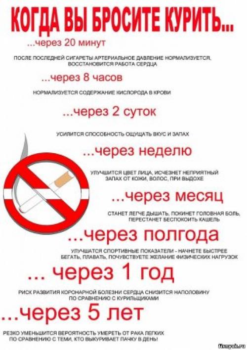 Как привычки влияют на наше здоровье. Вредные привычки и их влияние на здоровье человека