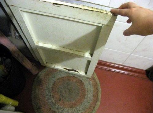 Чем травить слизней. Как избавиться от слизней в доме: 8 средств и методы, которые удивят простотой