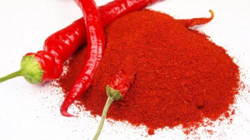 Какие недостатки имеет метод борьбы с слизнями с помощью известкового раствора. Помощь народных средств и методов