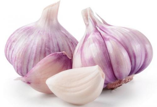 Какие недостатки имеет метод борьбы с слизнями с помощью известкового раствора. Помощь народных средств и методов