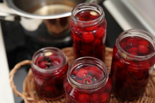 Какие блюда можно приготовить из вишни внутри белой. 20 простых и вкусных рецептов из вишни