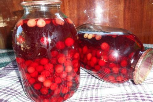 Какие блюда можно приготовить из вишни внутри белой. 20 простых и вкусных рецептов из вишни