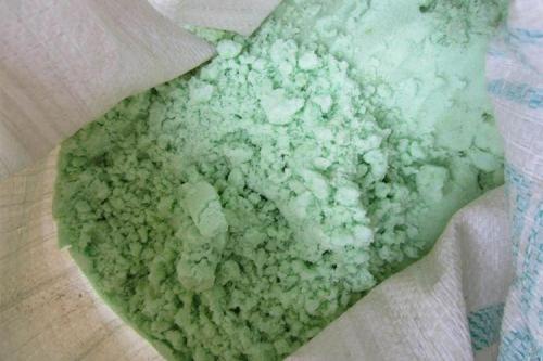 Мучнистая роса на смородине: меры борьбы и лечение