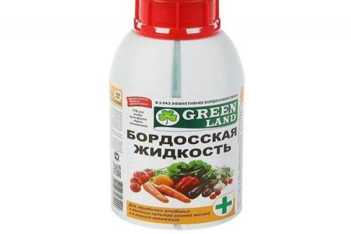 Мучнистая роса на смородине: меры борьбы и лечение