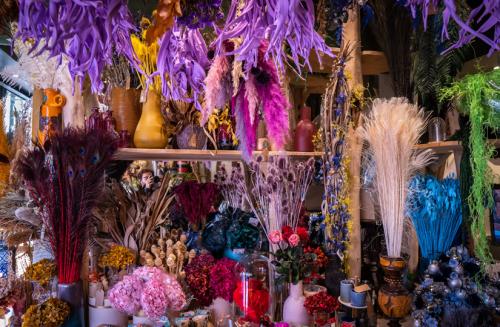 Сухая трава для декора. Какие растения хороши для декора а какие совсем не подойдут