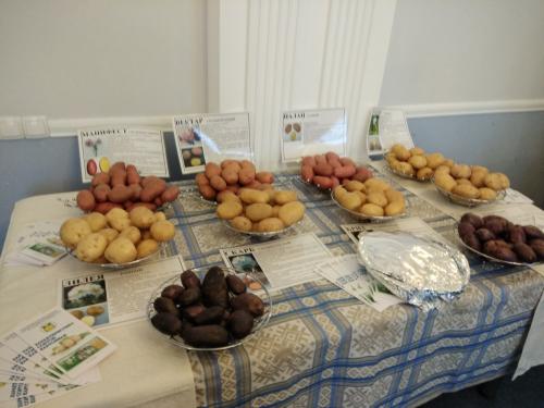 Картофельная революция: разнообразие сортов в Беларуси 28 Картофельная революция: разнообразие сортов в Беларуси 28