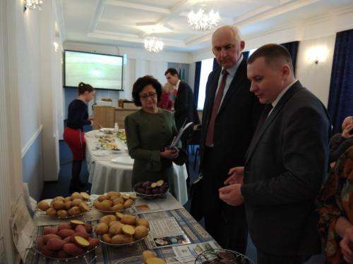 Картофельная революция: разнообразие сортов в Беларуси 31 Картофельная революция: разнообразие сортов в Беларуси 31