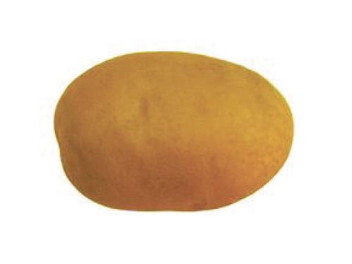 Картофельная революция: разнообразие сортов в Беларуси 03 Картофельная революция: разнообразие сортов в Беларуси 03