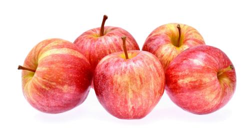 Яблоня кипарисовое на карликовом подвое. Карликовый подвой 21