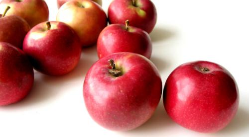 Яблоня кипарисовое на карликовом подвое. Карликовый подвой 19