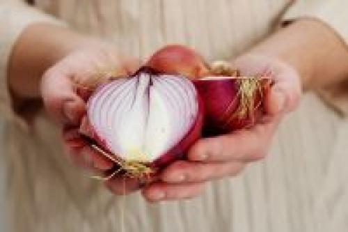 Как хранить лук в холодильнике