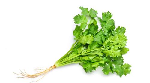 Энциклопедия специй и зелени. Большая энциклопедия специй, приправ и пряностей 02