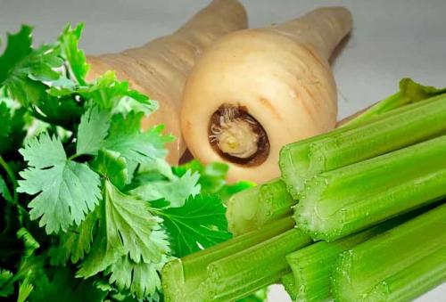 Справочник пряных трав. Пряности, пряные овощи и зелень