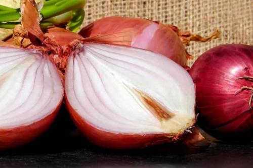 Справочник пряных трав. Пряности, пряные овощи и зелень