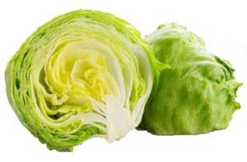 Виды зелени для салатов. Виды листовых салатов – топ 15 сортов листовой зелени