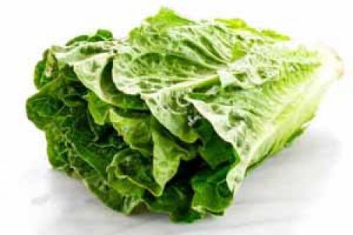 Виды зелени для салатов. Виды листовых салатов – топ 15 сортов листовой зелени