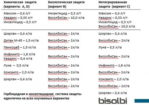 Картофель семенной гала Элита 1кг: как выбрать и посадить лучший сорт 01 Картофель семенной гала Элита 1кг: как выбрать и посадить лучший сорт 01