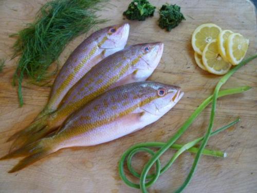 Какие специи подходят для рыбы. Как выбрать специи для приготовления рыбы? 36