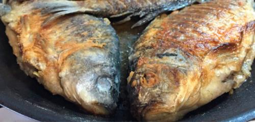 Какие специи подходят для рыбы. Как выбрать специи для приготовления рыбы? 22