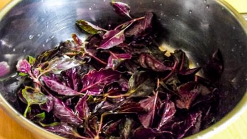 Фиолетовая пряная трава. Фиолетовый базилик — польза и вред