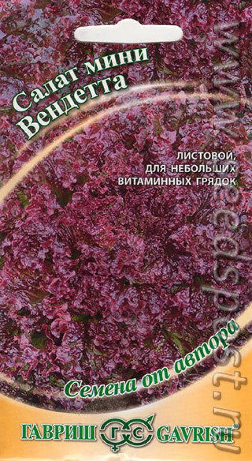 Пряные травы в контейнере. Пряные травы в контейнерах — композиция с цветами