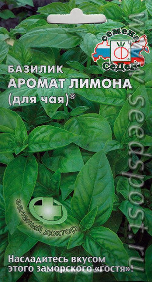 Пряные травы в контейнере. Пряные травы в контейнерах — композиция с цветами