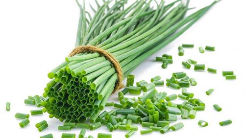 Полный путеводитель по специям. Гид по специям и травам