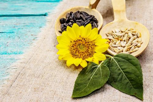 Какие продукты являются источником скрытой соли. Врачи назвали продукты со скрытой солью 11