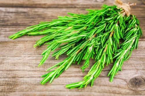 Многолетние пряные травы в саду. 13 многолетних пряностей для открытого грунта