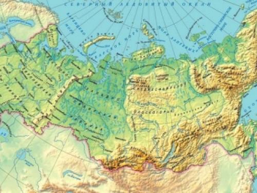 Гортензия в открытом грунте. Как садить саженцы гортензии в открытый грунт 02 Гортензия в открытом грунте. Как садить саженцы гортензии в открытый грунт 02