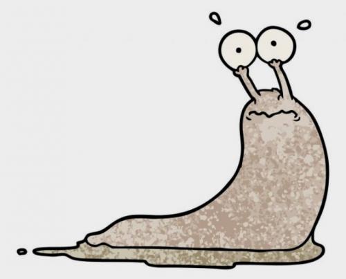 Чем опасны слизни для растений. Опасны ли слизни для здоровья человека