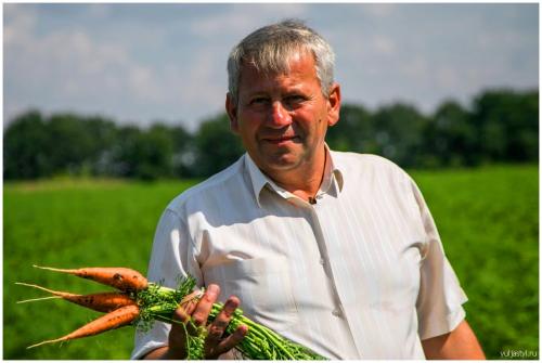 Картофель пикассо. Сорт картофеля Пикассо: особенности, посадка и уход, характеристики, свойства, методы