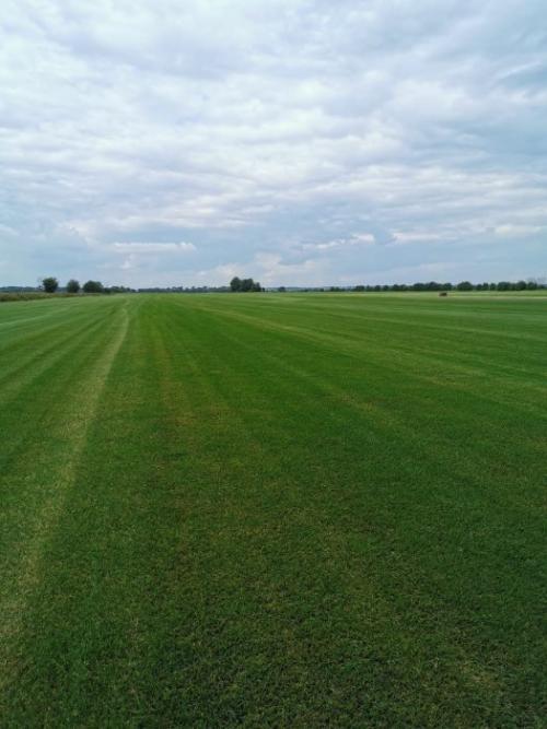 Как посадить на своем участке: полезные советы и рекомендации 08